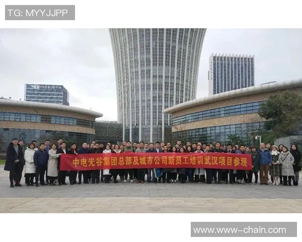 武汉羽毛球队的控制策略与发展动态深度解析