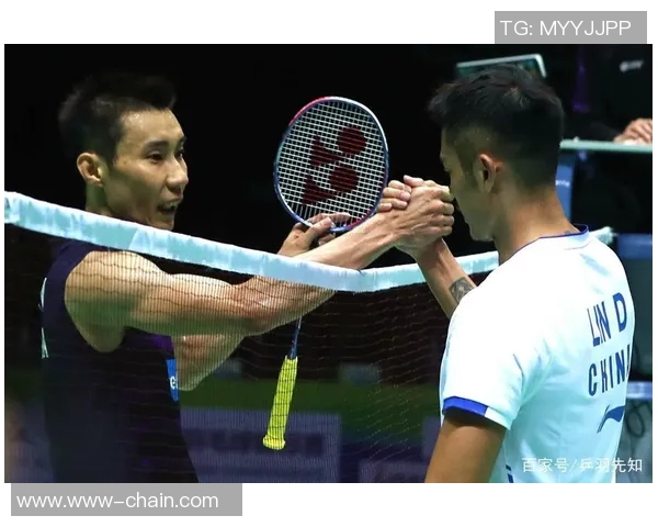 上海羽毛球队意识表现的数据分析与提升策略探讨