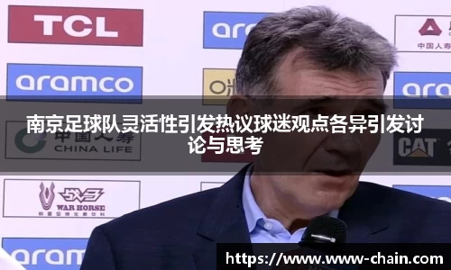 南京足球队灵活性引发热议球迷观点各异引发讨论与思考