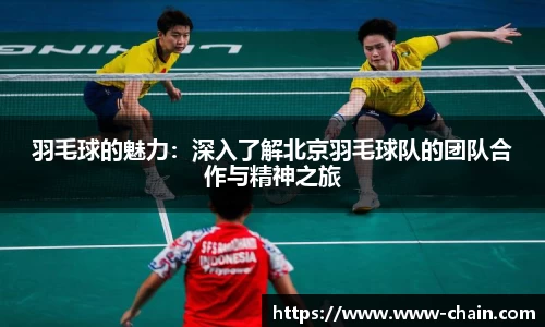 羽毛球的魅力：深入了解北京羽毛球队的团队合作与精神之旅