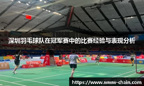 深圳羽毛球队在冠军赛中的比赛经验与表现分析