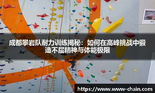 成都攀岩队耐力训练揭秘：如何在高峰挑战中锻造不屈精神与体能极限